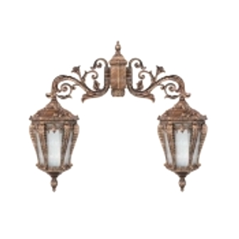 چراغ پارکی دو شعله تکشیدفام Paliz Ta-8524D