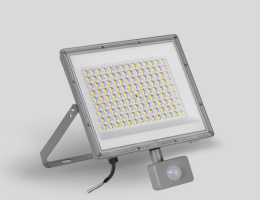 پروژکتور سنسوردار SMD مدل ایوا EVA 4M فورام