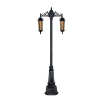 تصویر چراغ پارکی دو شاخه تکشیدفام معبد سورن 1225D