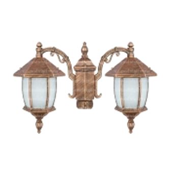 چراغ پارکی دو شعله تکشیدفام Viktoria Khomrehie Ta-8121D