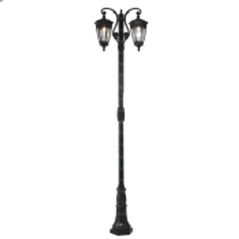 تصویر سرشعله چراغ پارکی دو شاخه مانک پایا SALSA-MM229PU2