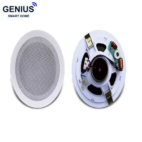 تصویر اسپیکر سقفی FG-Sound مدل FG-885