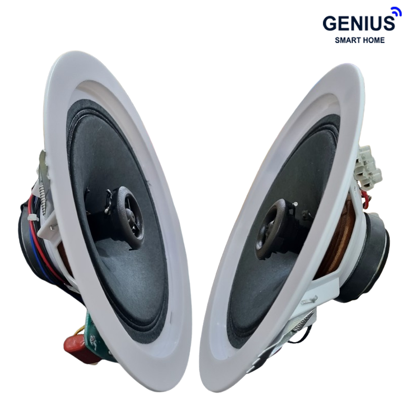 تصویر اسپیکر سقفی FG-Sound مدل 902S