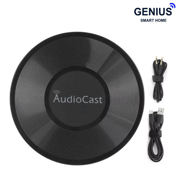 تصویر پخش کننده وایرلس AudioCast