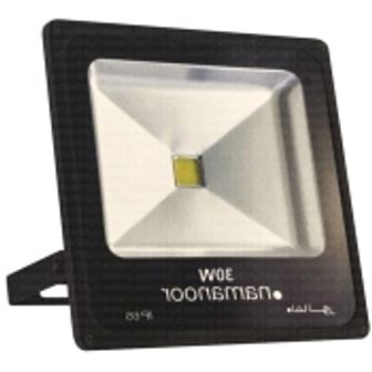 پروژکتور SMD نمانور - FTG03 - با توان 30W - سفید و آفتابی
