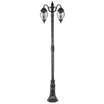 تصویر سرشعله چراغ پارکی دو شاخه مانک پایا HILYA-MM254PU2