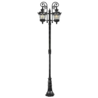 تصویر سرشعله چراغ پارکی دو شاخه مانک پایا ERICA-LM208PU2