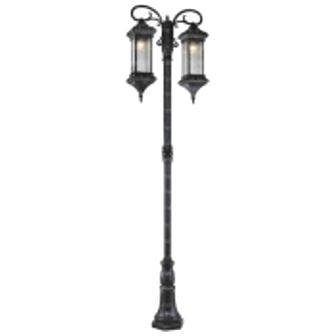 تصویر چراغ پارکی دو شعله مانک پایا AGATA-L-M207PU2