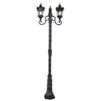 تصویر چراغ پارکی دو شعله مانک پایا PETRA-M-M238PD2