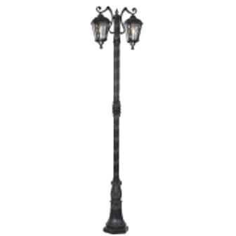 تصویر چراغ پارکی دو شعله مانک پایا ARMIA-M-M210PU2
